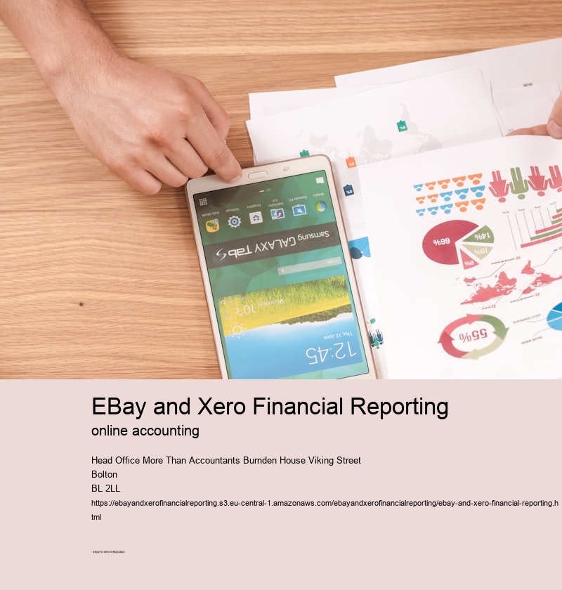 eBay and Xero Financial Reporting