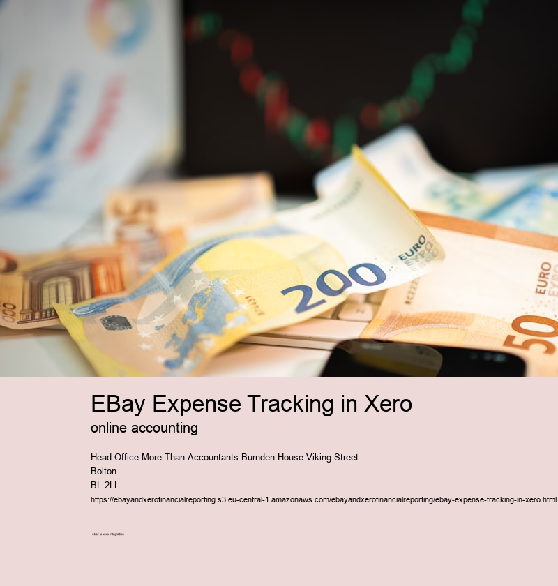 eBay Expense Tracking in Xero