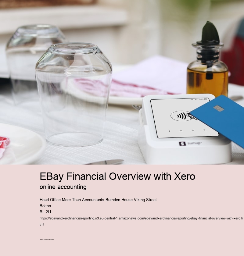 eBay Financial Overview with Xero