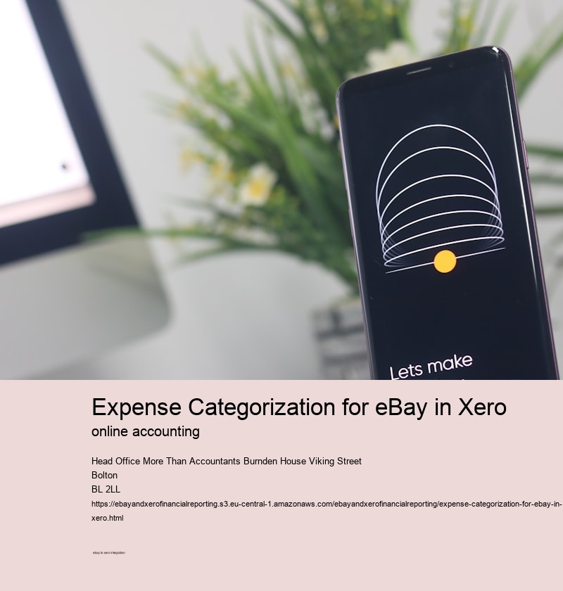 Expense Categorization for eBay in Xero