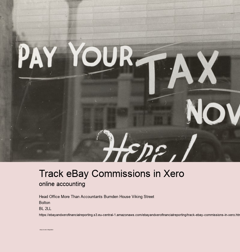 Track eBay Commissions in Xero